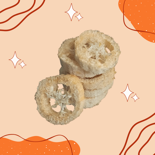 Loofah Slices